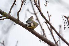 DSC_5768.jpg