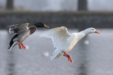 503_6764-2.jpg