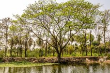 people-at-a-pond-4.jpg