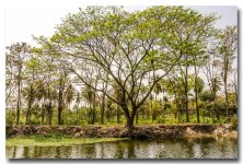 people-at-a-pond-4-FrameShop_1.jpg