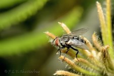 15A_9825_webshot.jpg