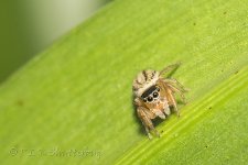 15A_9828_webshot.jpg