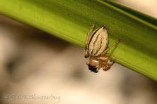 15A_9829_webshot.jpg