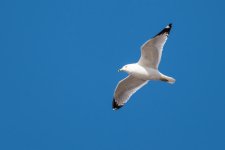 D75_2866.jpg