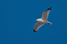 D75_28669.jpg
