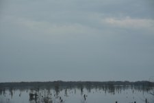 DSC_3848.jpg