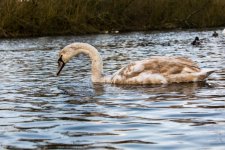 DSC_1228.jpg