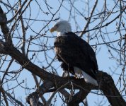 DSC_2885.jpg