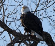 DSC_2886.jpg