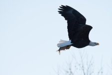 DSC_3487.jpg
