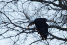 DSC_3489.jpg