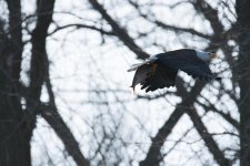 DSC_3492.jpg