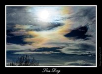 DSC_5716_SunDog.jpg