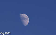 DSC_0512.jpg