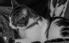 DSC_0370.jpg