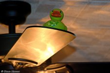 DSC_8157.jpg