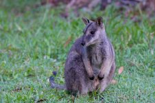DSC_9012.jpg