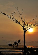 DSC_3789.JPG