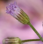 FSC_5938.jpg