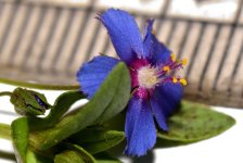 FSC_6102.jpg