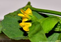 FSC_6082.jpg