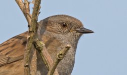 DSC_5677.jpg