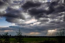 DSC_1259-2.jpg