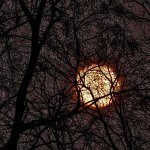 sunset.jpg