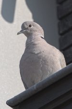 503_6900.jpg