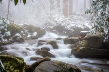 D71_4721.jpg