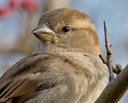 DSC_5621.jpg