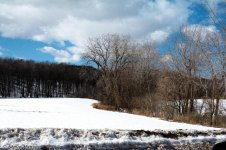 DSC_8158.jpg