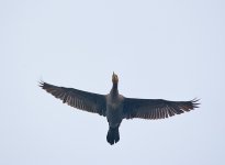 DSC_5881.jpg