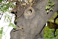 FSC_5751.jpg