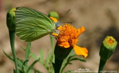 ESC_3452.jpg