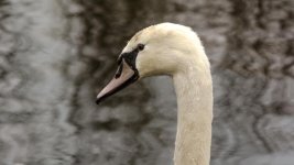 DSC_1282.jpg