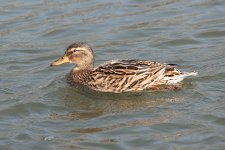 503_7124-1.jpg