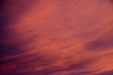 DSC_3912.jpg