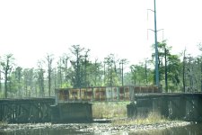 DSC_3905.jpg