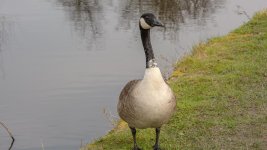 DSC_1264.jpg