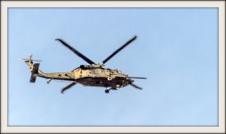 DSC_4525.jpg