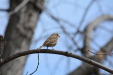 DSC_2716.jpg