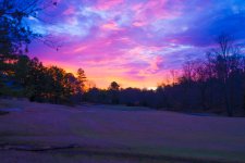 _DSC0703.jpg
