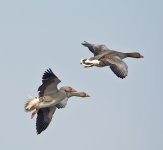 DSC_5635.jpg