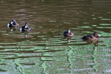 DSC_5961.jpg