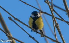 DSC_0658.jpg