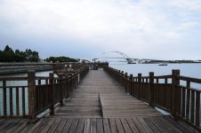 DSC_5807.jpg