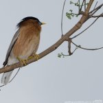 FSC_5805.jpg
