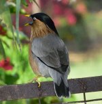 FSC_6341.jpg