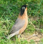 FSC_6347.jpg